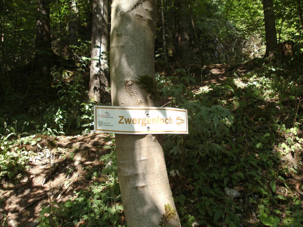 Gasthof Rodachtal Mit Gaestehaus Katharina Schwarzenbach am Wald Екстериор снимка
